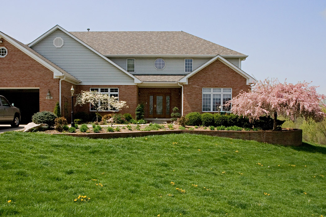 SpringBloomFrontYard